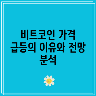 비트코인 가격 급등의 이유와 전망 분석