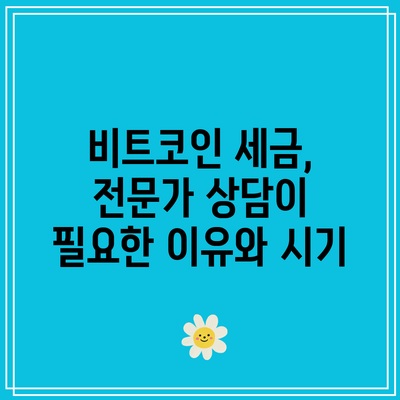 비트코인 세금, 전문가 상담이 필요한 이유와 시기