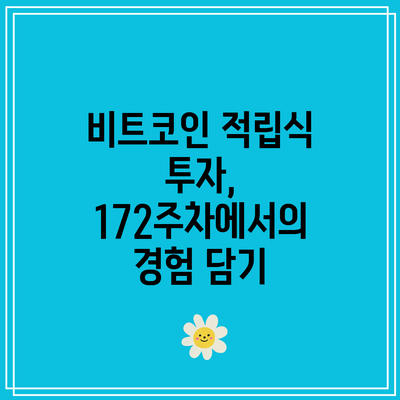 비트코인 적립식 투자, 172주차에서의 경험 담기