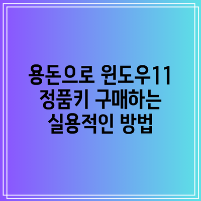 용돈으로 윈도우11 정품키 구매하는 실용적인 방법