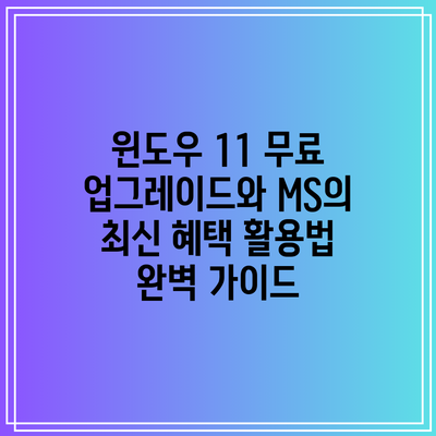 윈도우 11 무료 업그레이드와 MS의 최신 혜택 활용법 완벽 가이드