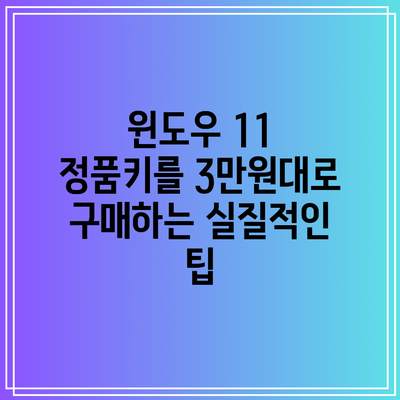 윈도우 11 정품키를 3만원대로 구매하는 실질적인 팁