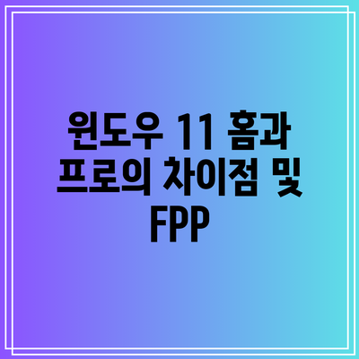 윈도우 11 홈과 프로의 차이점 및 FPP