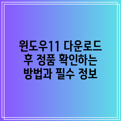 윈도우11 다운로드 후 정품 확인하는 방법과 필수 정보