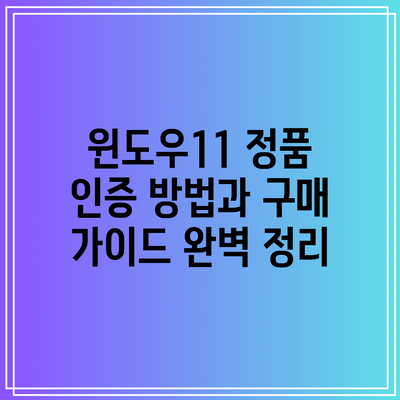 윈도우11 정품 인증 방법과 구매 가이드 완벽 정리