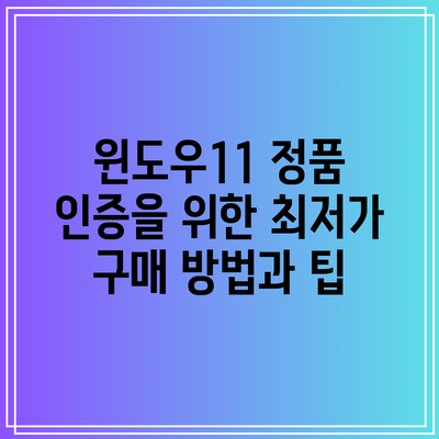윈도우11 정품 인증을 위한 최저가 구매 방법과 팁