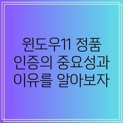 윈도우11 정품 인증의 중요성과 이유를 알아보자