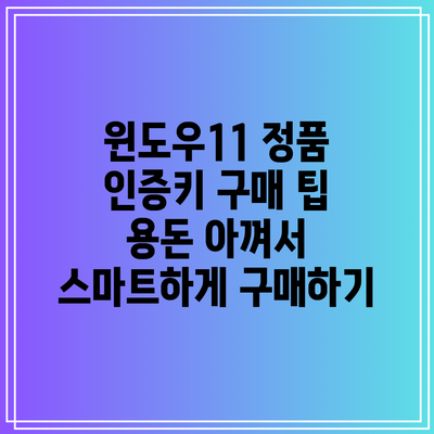윈도우11 정품 인증키 구매 팁: 용돈 아껴서 스마트하게 구매하기