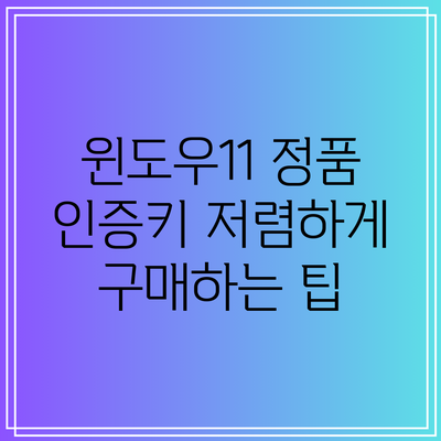 윈도우11 정품 인증키 저렴하게 구매하는 팁