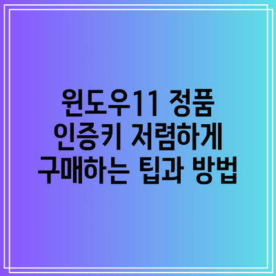윈도우11 정품 인증키 저렴하게 구매하는 팁과 방법