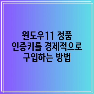 윈도우11 정품 인증키를 경제적으로 구입하는 방법
