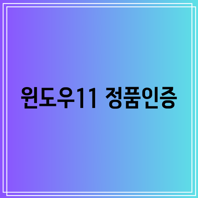 윈도우11 정품인증