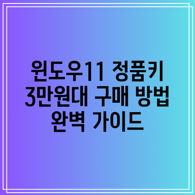 윈도우11 정품키 3만원대 구매 방법 완벽 가이드