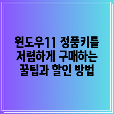 윈도우11 정품키를 저렴하게 구매하는 꿀팁과 할인 방법