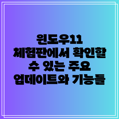 윈도우11 체험판에서 확인할 수 있는 주요 업데이트와 기능들