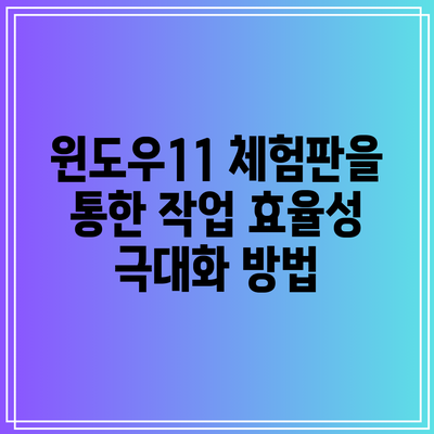 윈도우11 체험판을 통한 작업 효율성 극대화 방법