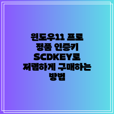 윈도우11 프로 정품 인증키 SCDKEY로 저렴하게 구매하는 방법