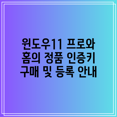 윈도우11 프로와 홈의 정품 인증키 구매 및 등록 안내