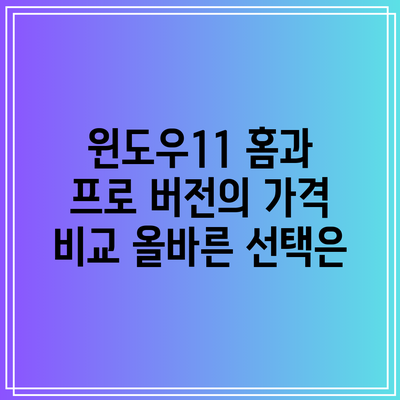윈도우11 홈과 프로 버전의 가격 비교: 올바른 선택은?