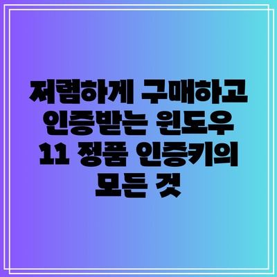 저렴하게 구매하고 인증받는 윈도우 11 정품 인증키의 모든 것