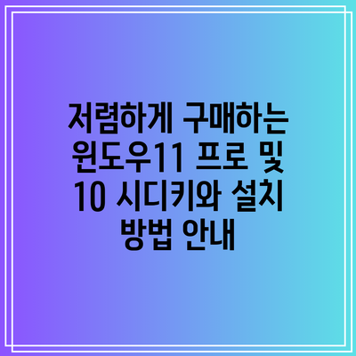 저렴하게 구매하는 윈도우11 프로 및 10 시디키와 설치 방법 안내