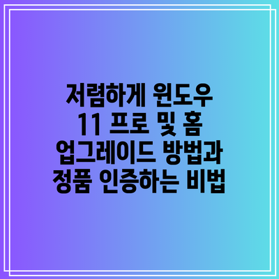 저렴하게 윈도우 11 프로 및 홈 업그레이드 방법과 정품 인증하는 비법