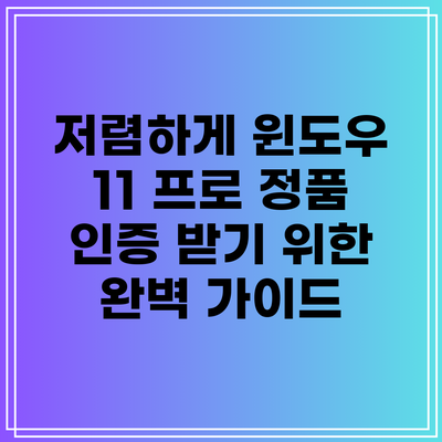 저렴하게 윈도우 11 프로 정품 인증 받기 위한 완벽 가이드