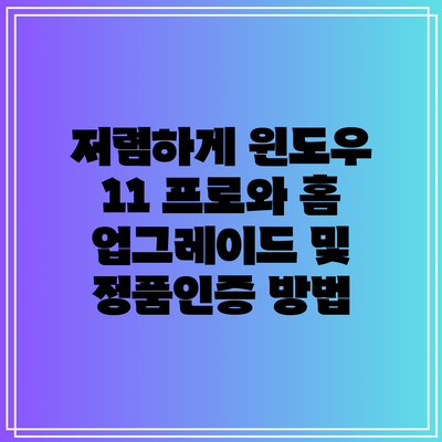 저렴하게 윈도우 11 프로와 홈 업그레이드 및 정품인증 방법