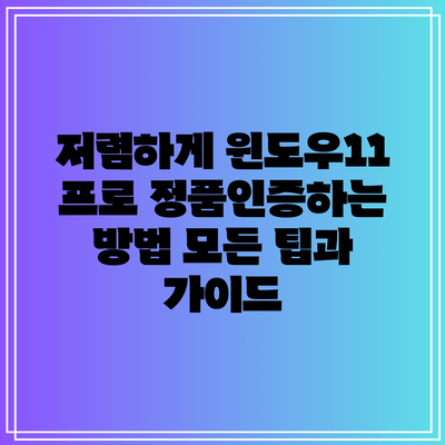 저렴하게 윈도우11 프로 정품인증하는 방법 모든 팁과 가이드