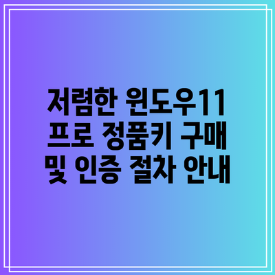 저렴한 윈도우11 프로 정품키 구매 및 인증 절차 안내