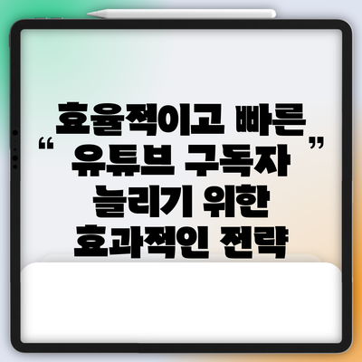 효율적이고 빠른 유튜브 구독자 늘리기 위한 효과적인 전략