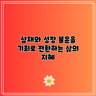 삼재와 성장: 불운을 기회로 전환하는 삶의 지혜