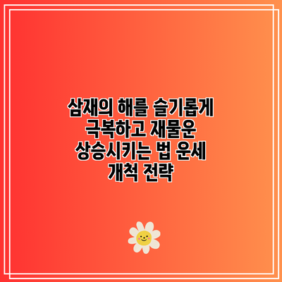삼재의 해를 슬기롭게 극복하고 재물운 상승시키는 법: 운세 개척 전략