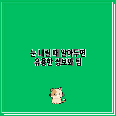 눈 내릴 때 알아두면 유용한 정보와 팁