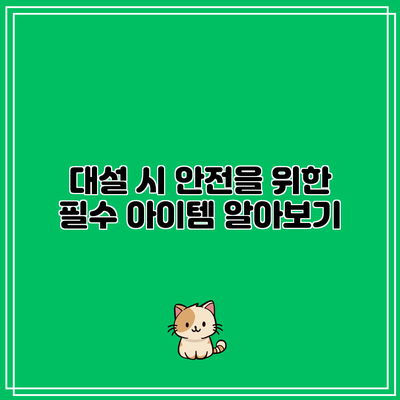 대설 시 안전을 위한 필수 아이템 알아보기