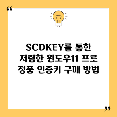 SCDKEY를 통한 저렴한 윈도우11 프로 정품 인증키 구매 방법