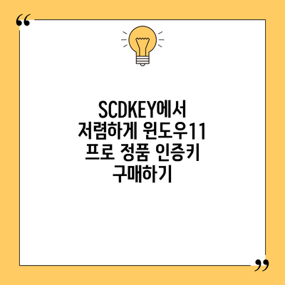 SCDKEY에서 저렴하게 윈도우11 프로 정품 인증키 구매하기