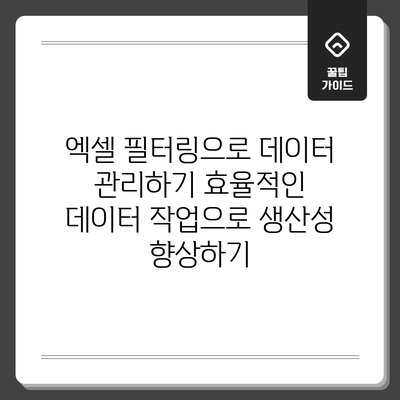 엑셀 필터링으로 데이터 관리하기: 효율적인 데이터 작업으로 생산성 향상하기