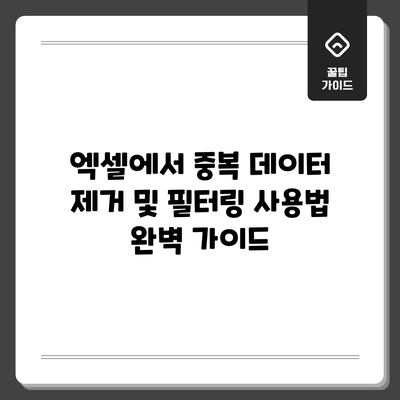 엑셀에서 중복 데이터 제거 및 필터링 사용법 완벽 가이드