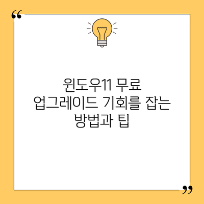 윈도우11 무료 업그레이드 기회를 잡는 방법과 팁